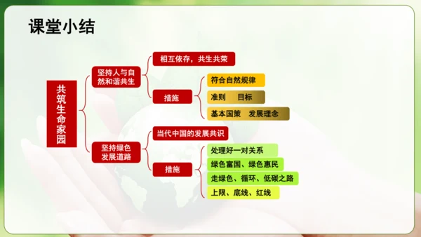 6.2共筑生命家园 课件(共30张PPT)