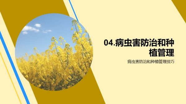 智慧农业：油料种植新篇章