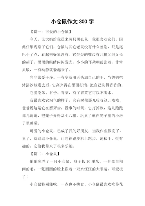 小仓鼠作文300字.docx