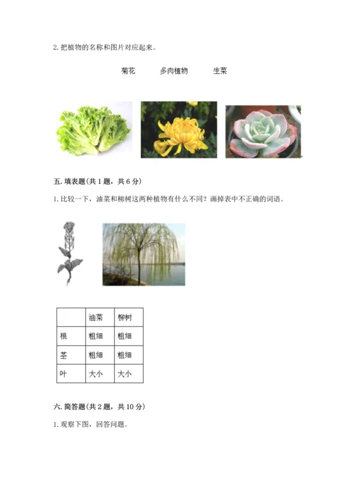教科版科学一年级上册第一单元《植物》测试卷精品【基础题】.docx
