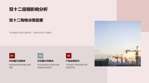 双十二家居消费洞察