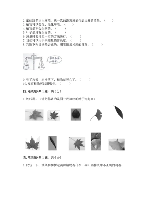 教科版小学一年级上册科学期末测试卷【典型题】.docx