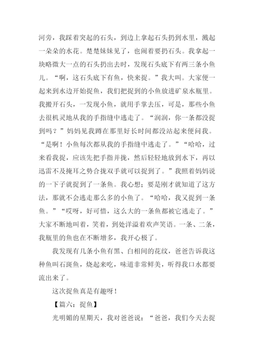 关于捉鱼的作文.docx