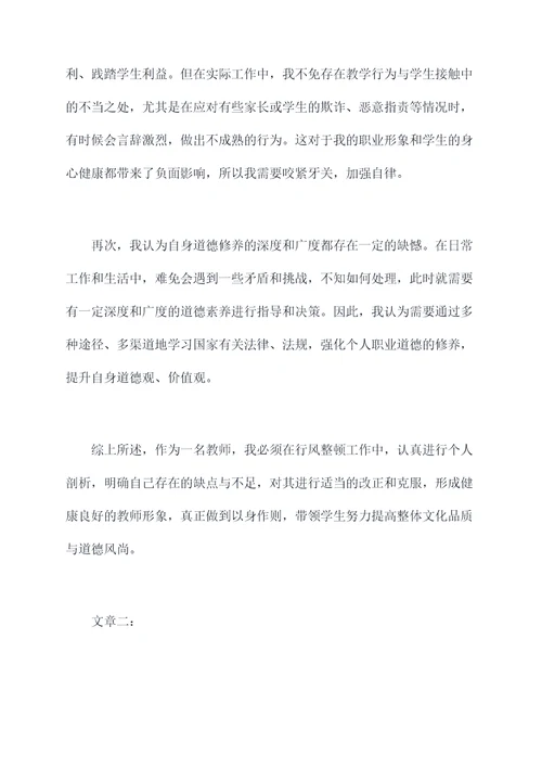 行风整顿教师个人剖析