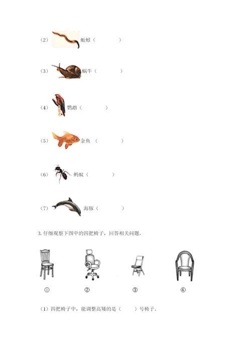 教科版二年级上册科学期末测试卷【精选题】.docx