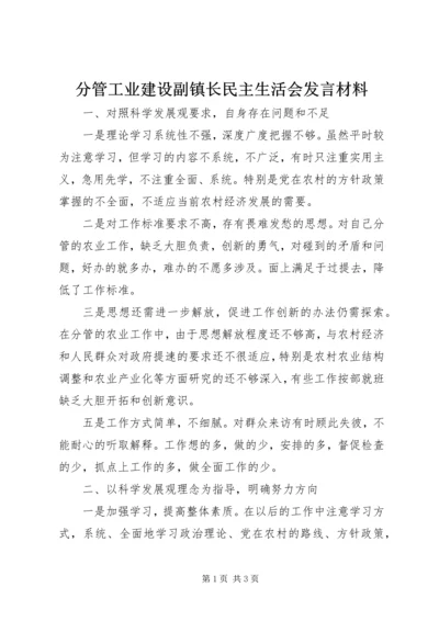 分管工业建设副镇长民主生活会发言材料.docx