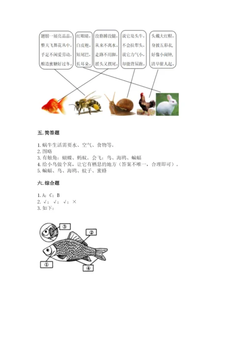 教科版一年级下册科学期末测试卷附答案【精练】.docx