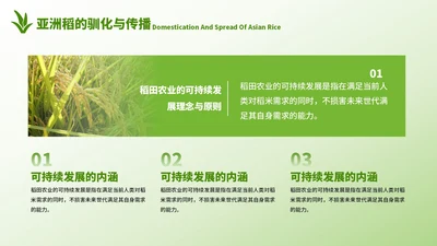 浅绿色简约农业答辩4项并列关系图PPT单页