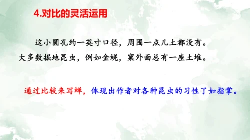 第21课《蝉》课件