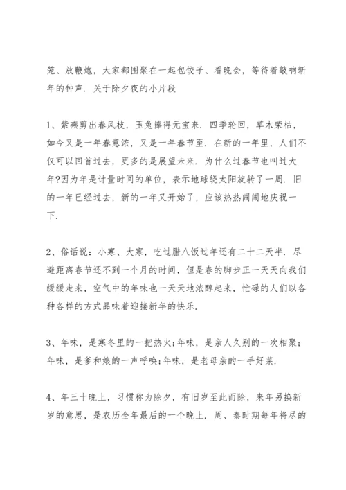 关于除夕夜的小片段.docx