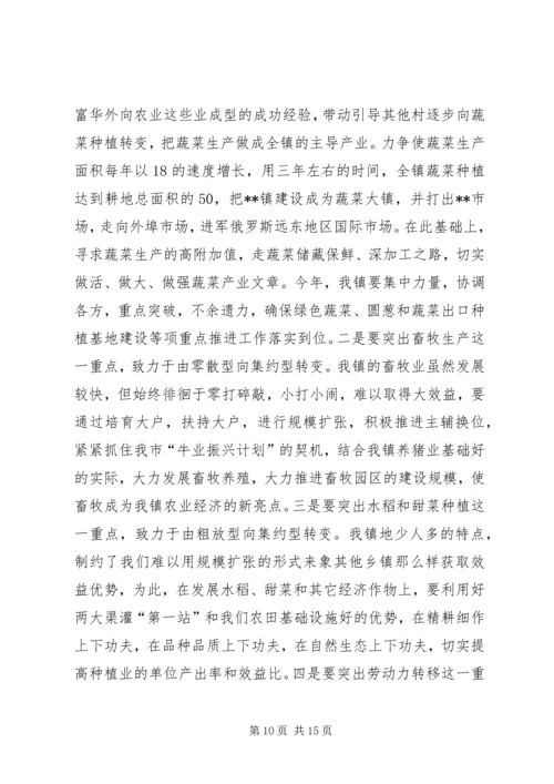 乡镇政府的工作报告.docx