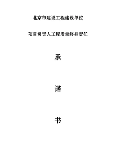 北京市建设工程建设单位项目负责人承诺书.docx