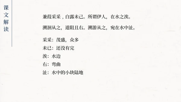 蒹葭PPT模板