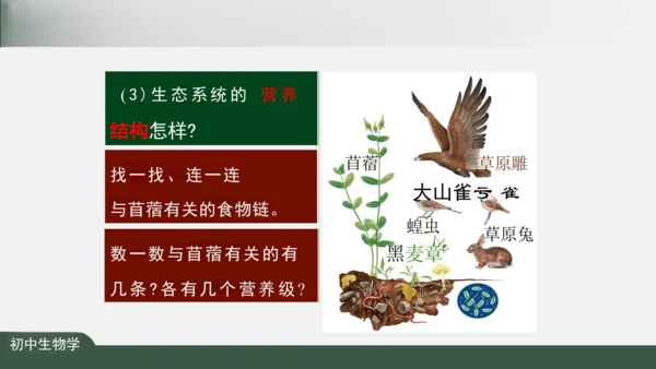 1.2.2 生物与环境组成生态系统 课件（共25张PPT）
