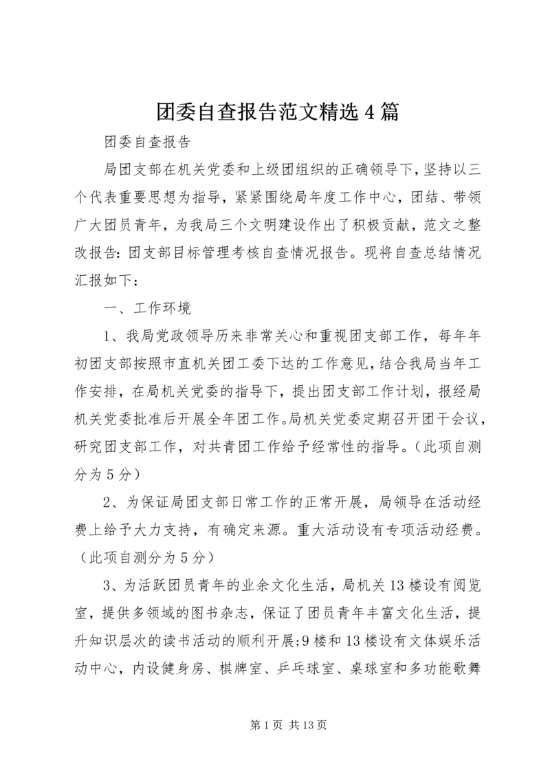 团委自查报告范文精选4篇.docx