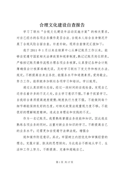 合理文化建设自查报告.docx