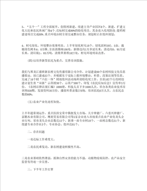 村半年工作总结精选18篇