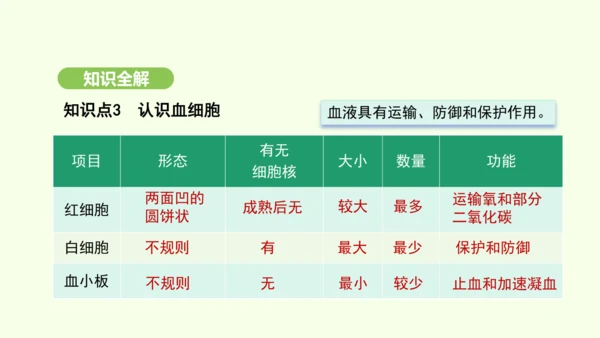 第四单元-第四章-第一节-流动的组织——血液课件-2024-2025学年七年级生物下学期人教版(20