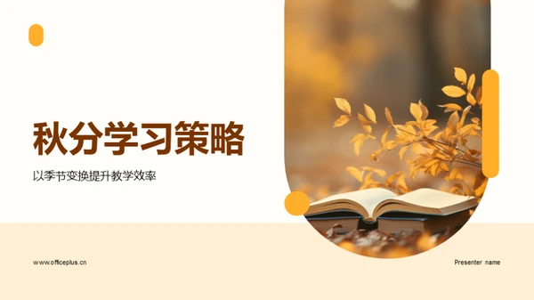 秋分学习策略