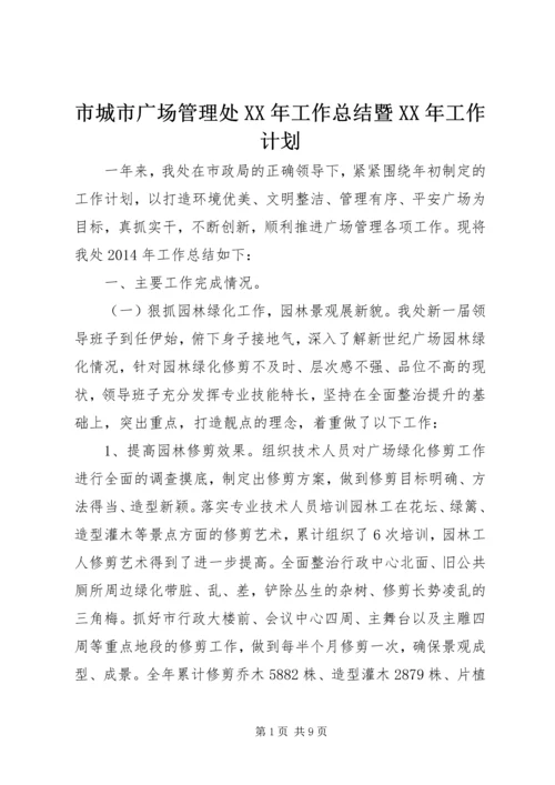 市城市广场管理处XX年工作总结暨XX年工作计划.docx