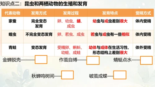 八年级下册第一章综合复习与测试课件(共16张PPT)人教版