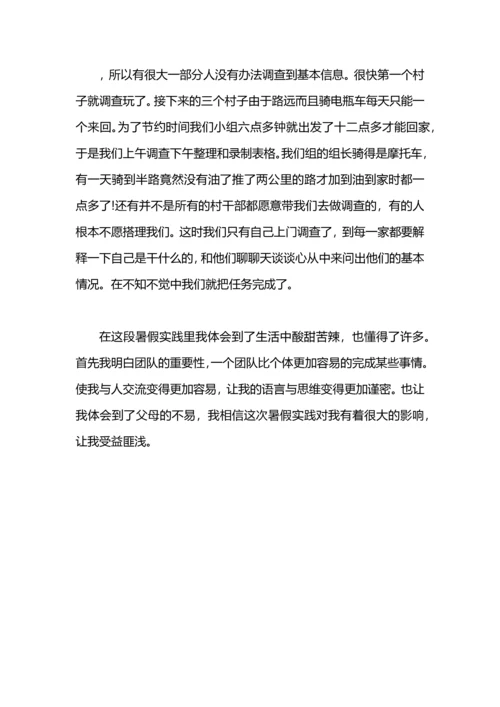 有关社会实践报告学习体会事项.docx