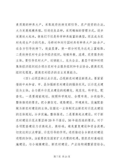 新农村调研报告范文.docx