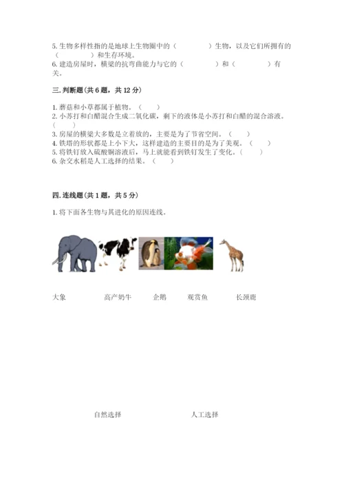 教科版六年级下册科学期末测试卷可打印.docx