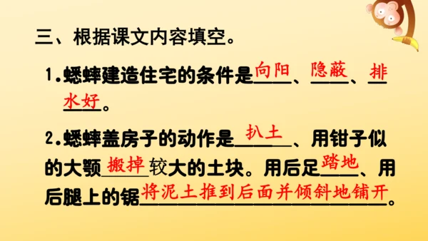 11 蟋蟀的住宅  课件
