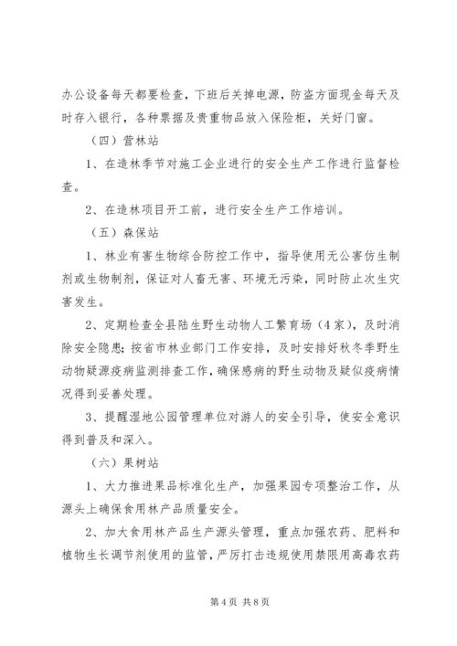 林业局安全生产监督检查计划.docx