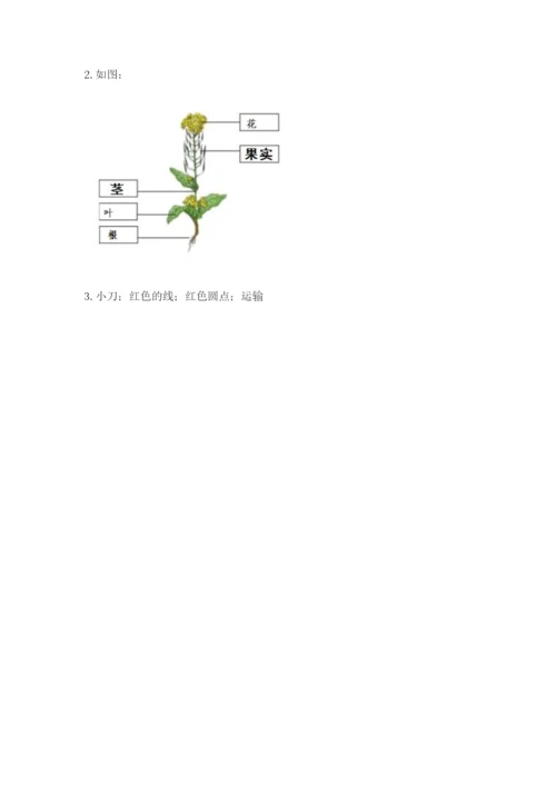 教科版四年级下册科学第一单元《植物的生长变化》测试卷精品【完整版】.docx