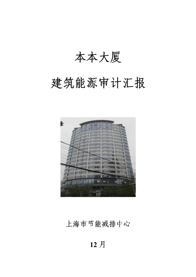 本本大厦能源审计综合报告.docx