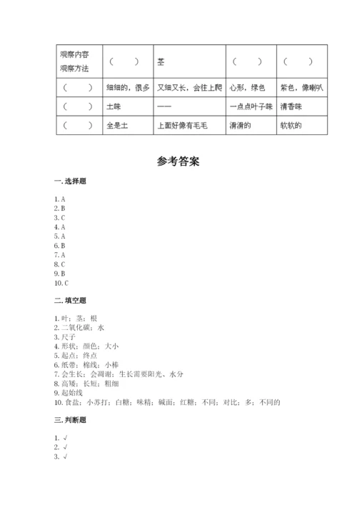 教科版一年级上册科学期末测试卷及答案【夺冠】.docx