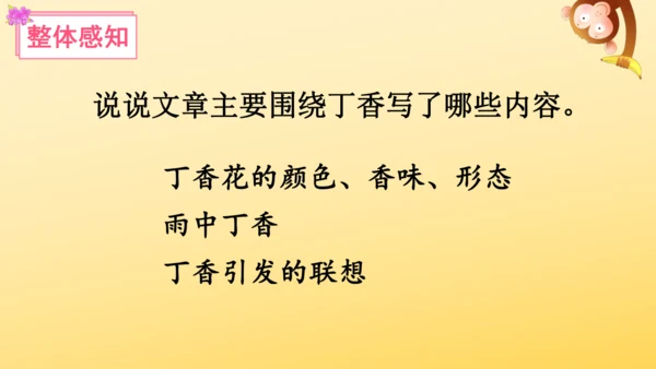2 丁香结  课件