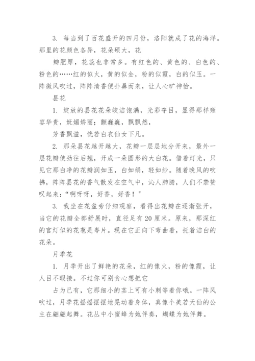 形容各种花的句子与词语.docx