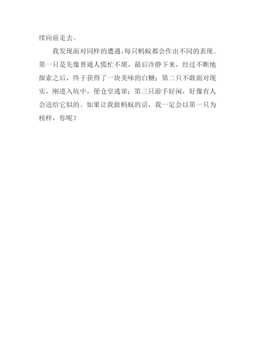 我的发现作文350字.docx