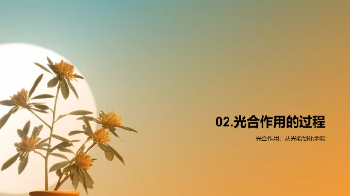 揭秘光合魔法之旅