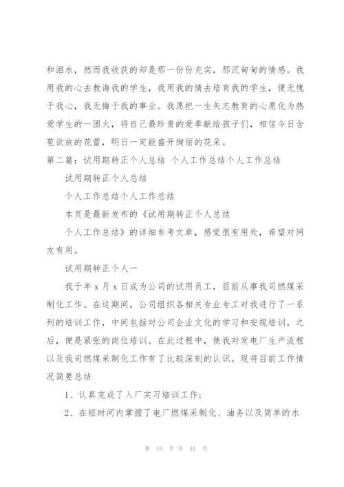 个人工作总结（最终定稿）.docx