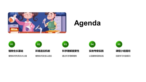 探秘植物生长