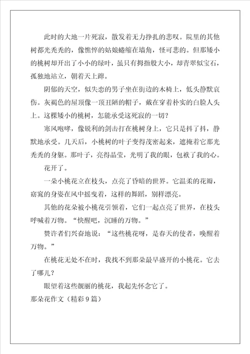 那朵花作文精彩9篇
