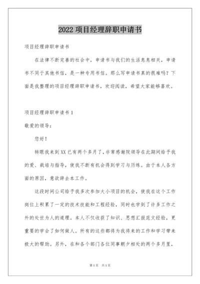 2022项目经理辞职申请书.docx