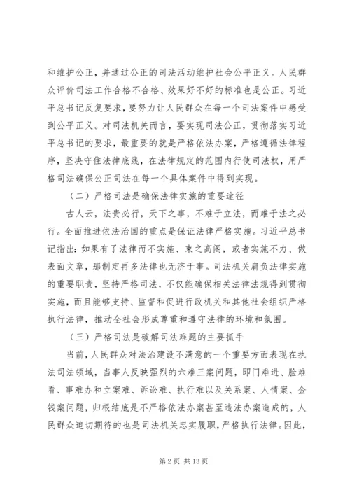 推进严格司法（学习贯彻党的十八届四中全会精神）.docx