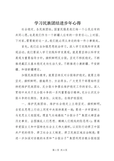 学习民族团结进步年心得 (3).docx