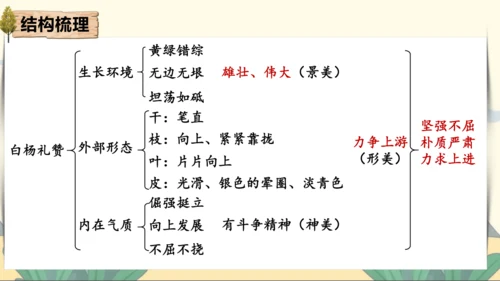 15 白杨礼赞 课件