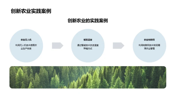 农业的创新之路