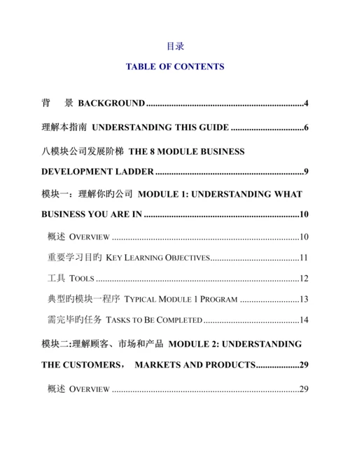 咨询顾问标准手册中英文.docx