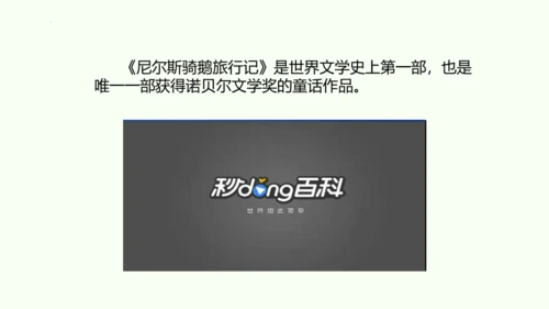 统编版六年级下册语文《6.骑鹅旅行记》（节选）（课件）