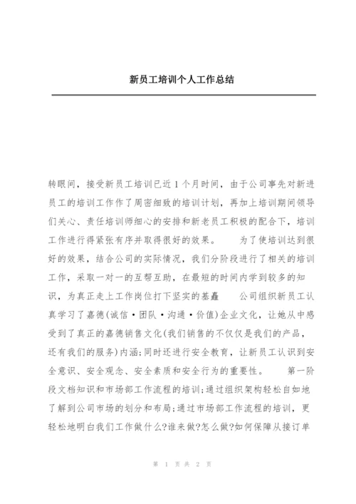 新员工培训个人工作总结.docx