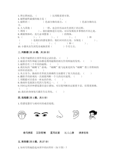 教科版小学科学二年级下册 期末测试卷（培优）.docx