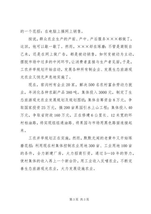 村党支部书记先进事迹材料 (10).docx